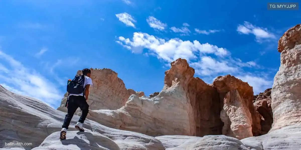 从训练到夺冠，我们与你同在！🏅